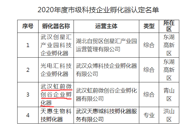 微创谷市级认定通知.png